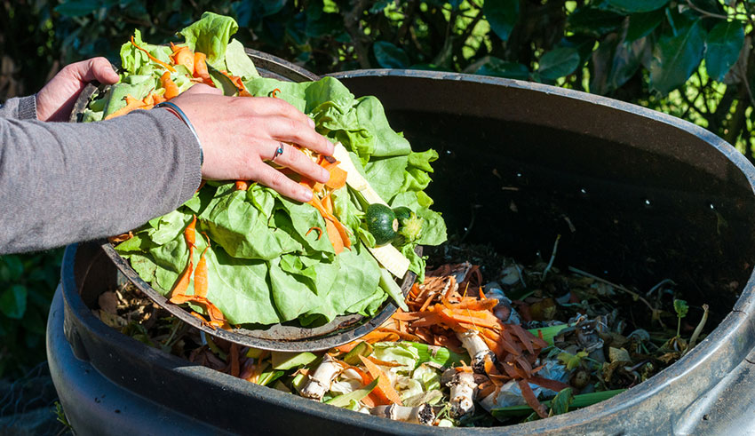 La FAO et la municipalité de Tunis s’unissent contre le gaspillage alimentaire