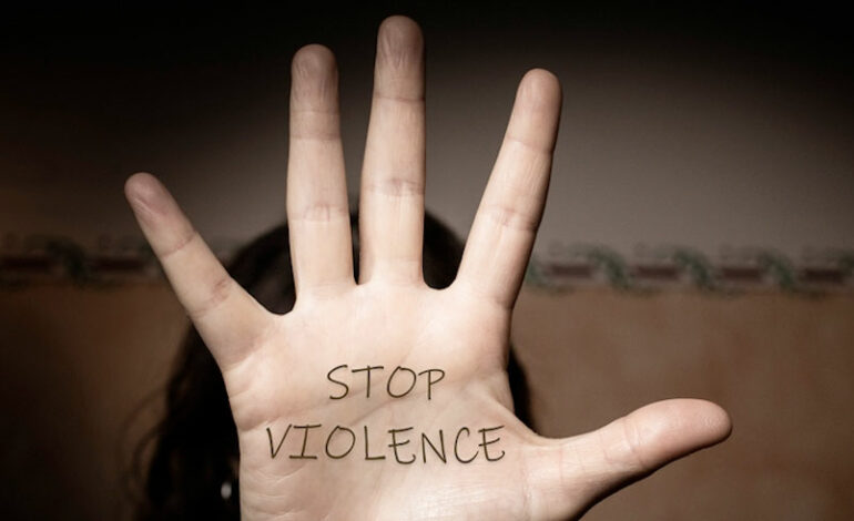 Clôture de la campagne internationale des 16 jours d’activisme contre les violences basées sur le genre : Et le combat continue…