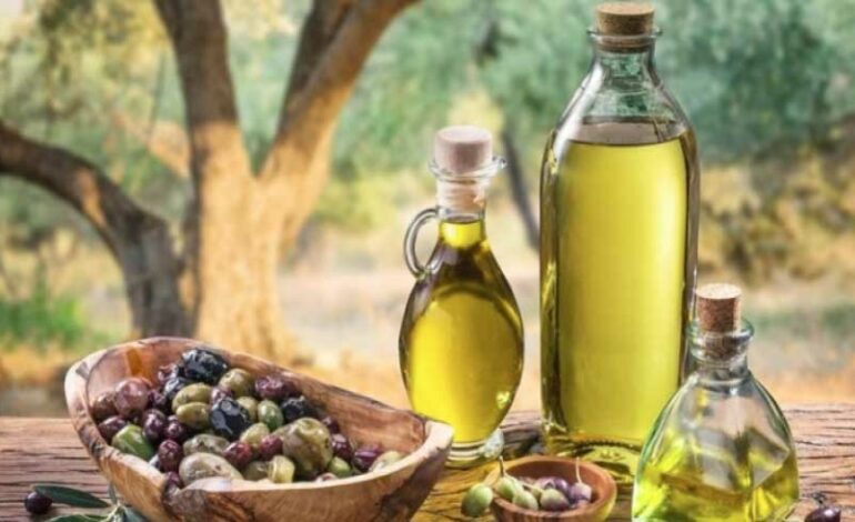 Exporter mieux : L’ambition renouvelée de l’huile d’olive tunisienne