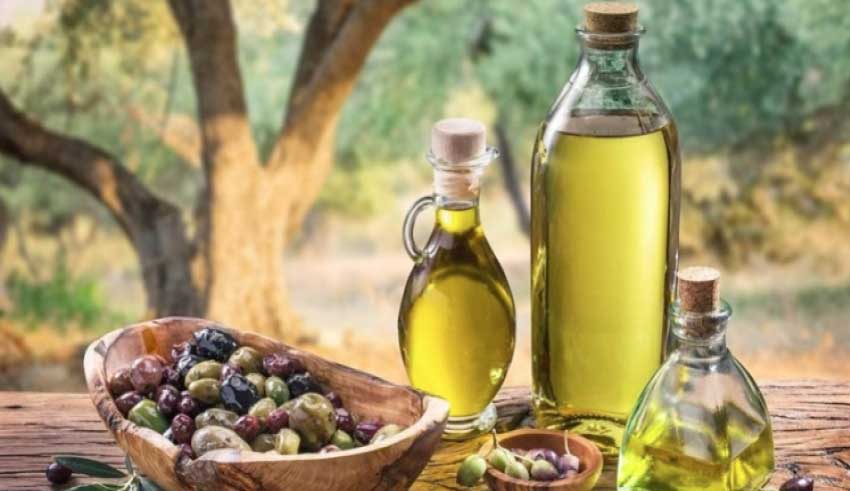 Exporter mieux : L’ambition renouvelée de l’huile d’olive tunisienne