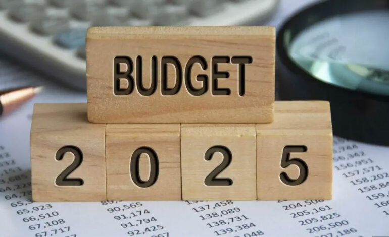 Publication de la loi de finances 2025 dans le Journal officiel tunisien