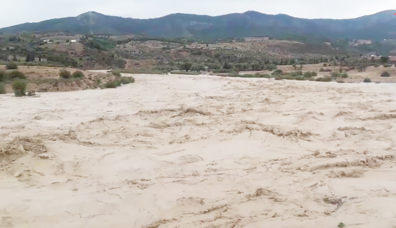 Intempéries à Kasserine : des milliers d’hectares de cultures endommagés