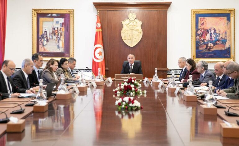 Tunisie : Un conseil des ministres pour anticiper les vagues de froid et les inondations