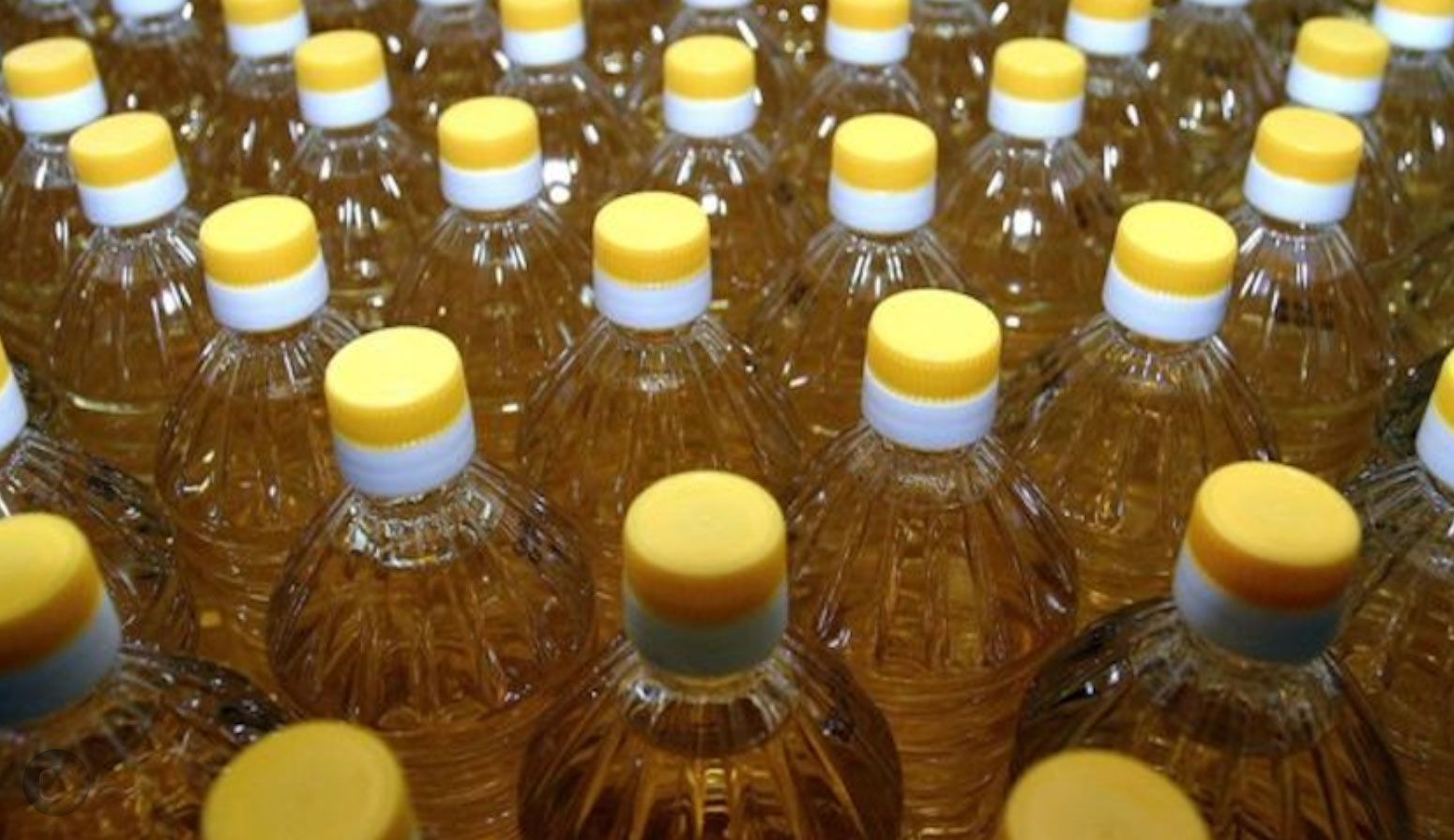 Tunisie – Bizerte : Plus de 96.000 litres d’huile végétale réinjectés dans le circuit