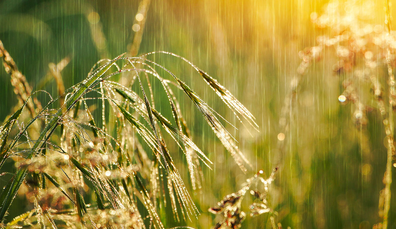 Météo : Temps nuageux cette nuit sur la plupart des régions, pluies attendues sur les côtes Nord