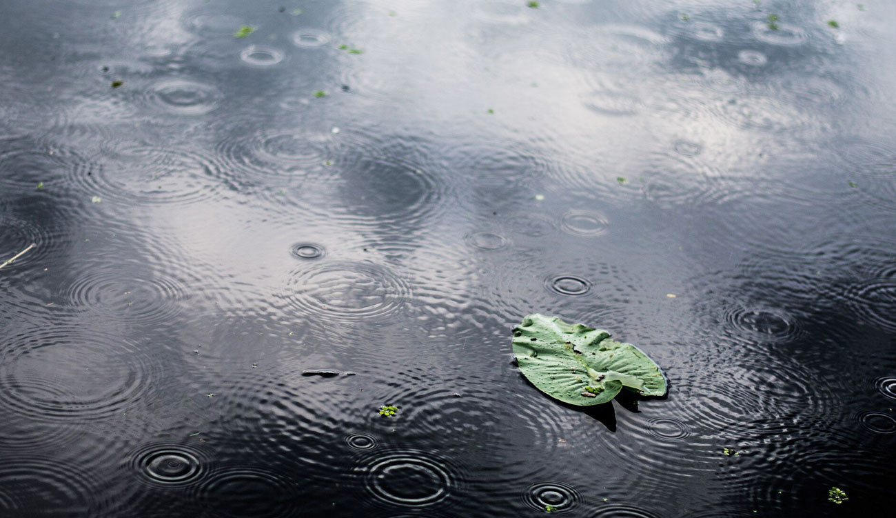 Pluie sur la Tunisie : Quel bilan après 24 heures de précipitations ?