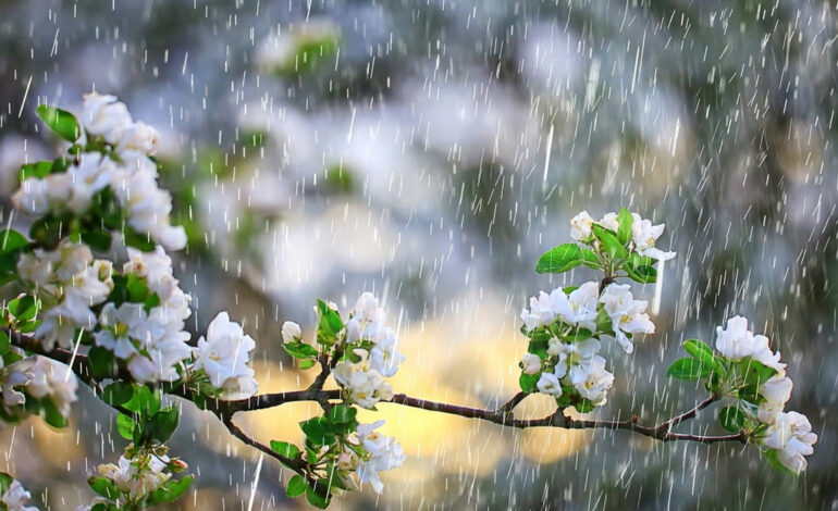 Météo: Des pluies attendues, mercredi et jeudi sur les différentes régions du pays