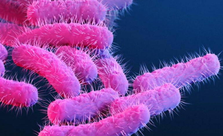 Tunisie : un enfant de 3 ans infecté par Shigella à Sidi Bouzid
