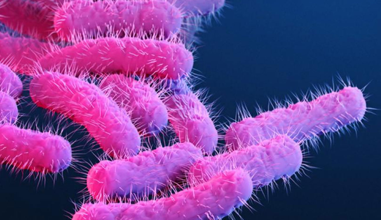 Tunisie : un enfant de 3 ans infecté par Shigella à Sidi Bouzid