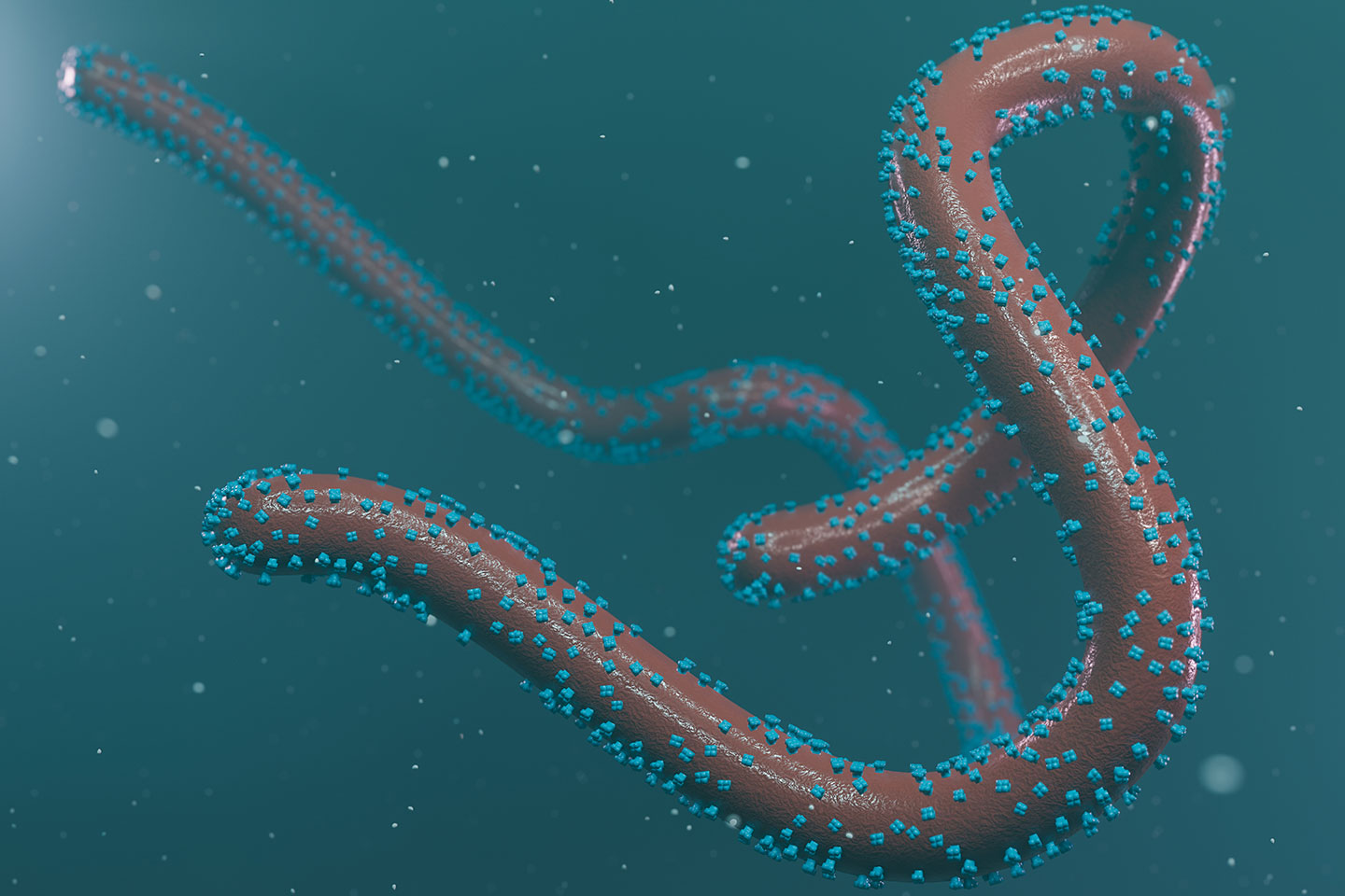 Alerte urgente : Un virus mortel attaque les yeux et menace les voyageurs