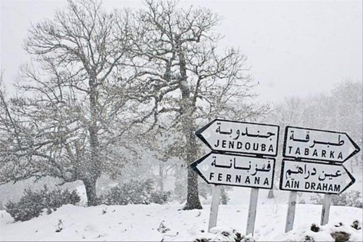 Vortex polaire et dépression atmosphérique : la Tunisie entre neige et pluie abondante cette semaine
