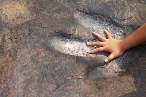 Découverte extraordinaire : des traces de dinosaures géants remontant à 166 millions d’années en Angleterre