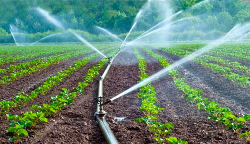 Tunisie : 7,5 millions de dinars alloués pour le développement de zones irriguées à Sidi Bouzid