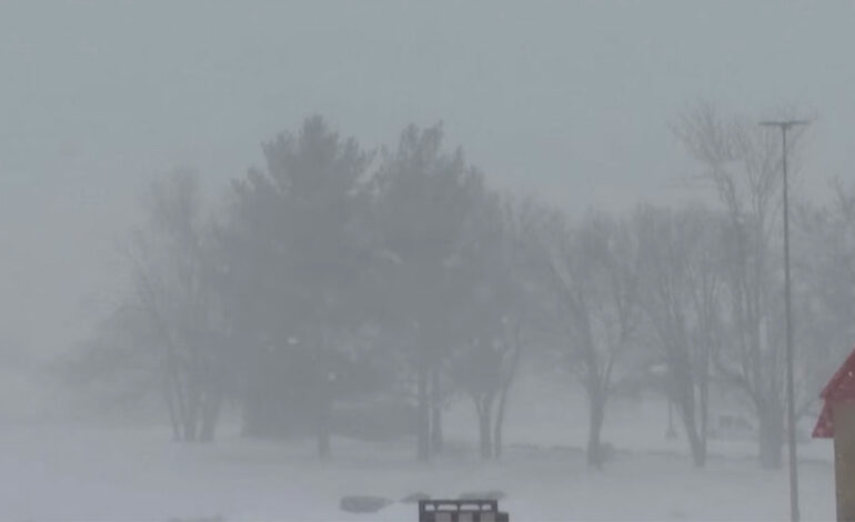 Tempête aux États-Unis : des millions sous la neige, cinq morts recensés
