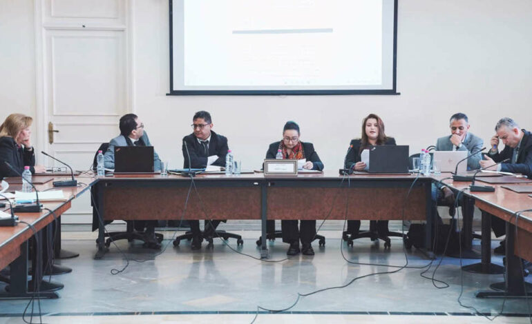 Projet de loi sur le statut de l’artiste et les métiers artistiques : audition de la ministre des Affaires Culturelles