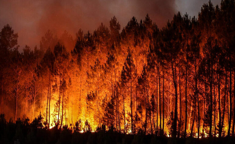 Incendies meurtriers en Europe : Grèce, Turquie et France en alerte