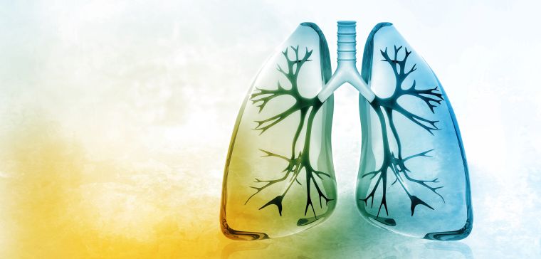 Révélation de troubles pulmonaires invisibles chez les enfants après la COVID-19 grâce à une technologie avancée