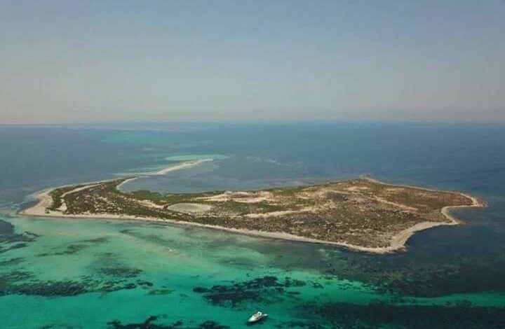 Environnement : la Tunisie veut inscrire l’île de Kuriat sur la liste verte de l’UICN