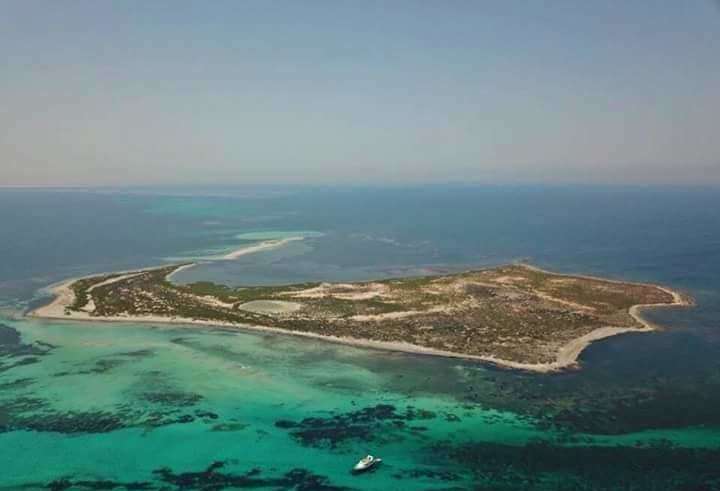 Environnement : la Tunisie veut inscrire l’île de Kuriat sur la liste verte de l’UICN