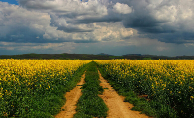 Instabilité météo : pluies localement fortes et vents renforcés au sud