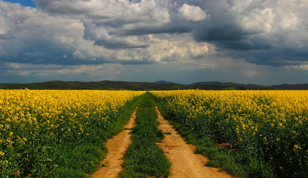 Instabilité météo : pluies localement fortes et vents renforcés au sud