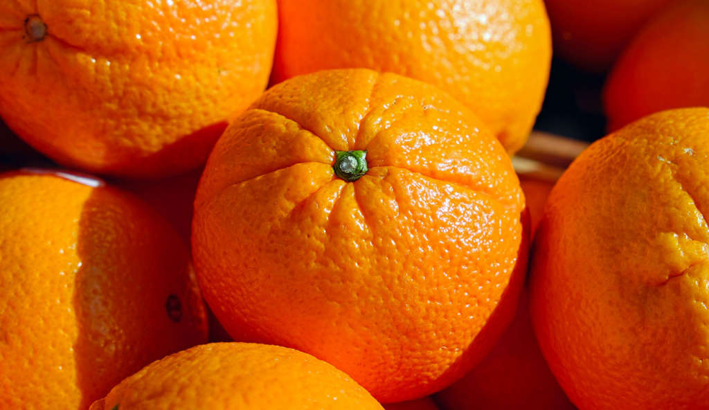 Nabeul: hausse  de 30% des exportations d’agrumes