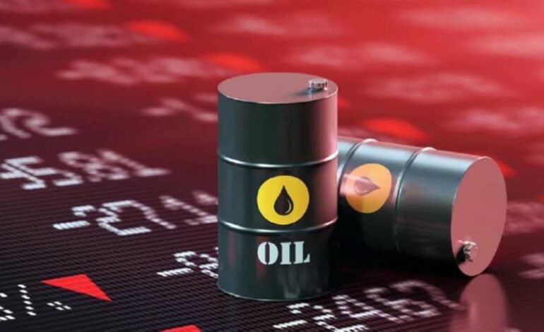 Pétrole brut en Tunisie : Baisse de 9 % à 219 kilotonnes à fin février 2025
