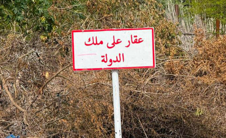 Carthage en alerte : mobilisation citoyenne contre les atteintes au patrimoine