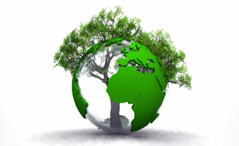 Compétitivité économique en Afrique : L’exigence d’une revalorisation sérieuse du capital naturel