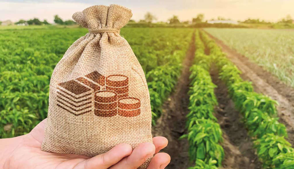 Investissements : Agricoles Une dynamique bien enracinée malgré tout