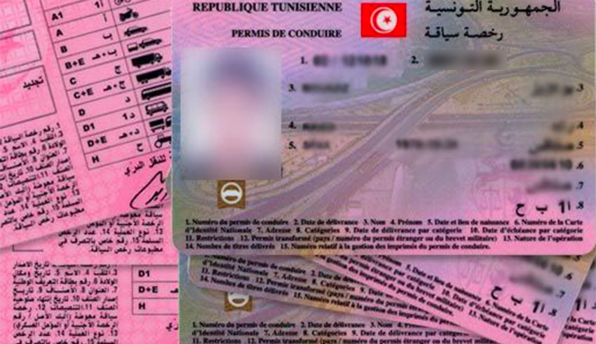 Permis de conduire : la Tunisie en pourparlers avec la France, l’Allemagne, le Qatar et les Émirats pour des accords bilatéraux