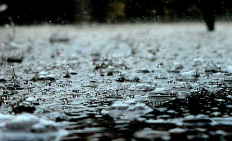 Alerte météo : fortes pluies et orages attendus sur le nord et le centre de la Tunisie