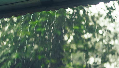 Alerte météo : jusqu’à 70 mm de pluie attendus dans l’est tunisien