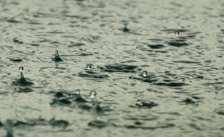 Jusqu’à 100 mm de pluie en 36 heures : alerte sur plusieurs régions tunisiennes