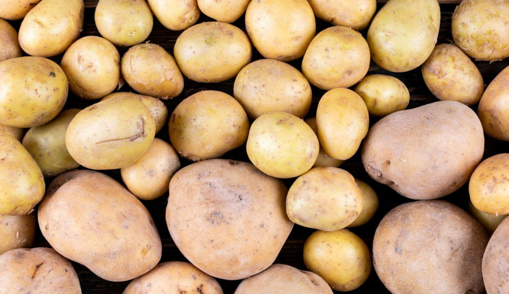 Pommes de terre : baisse attendue des prix et retour à la normale après des tensions sur le marché