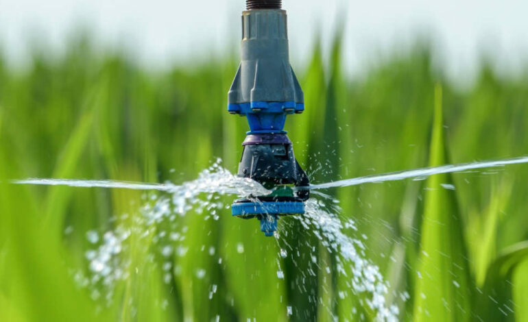 « Irrimed Expo 2025 » : Repenser l’irrigation pour sécuriser l’avenir hydrique de la Méditerranée
