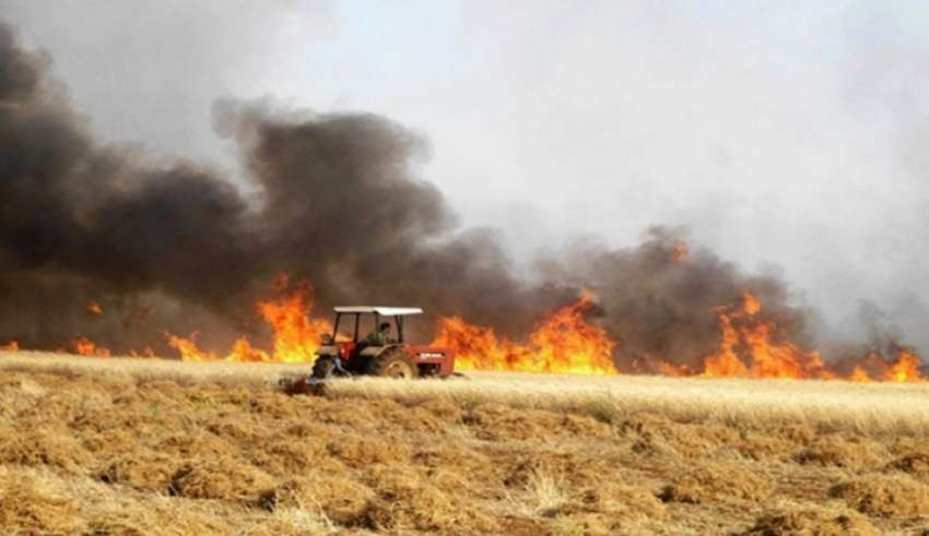 Deux incendies ravagent des cultures et des oliviers à Téboursouk