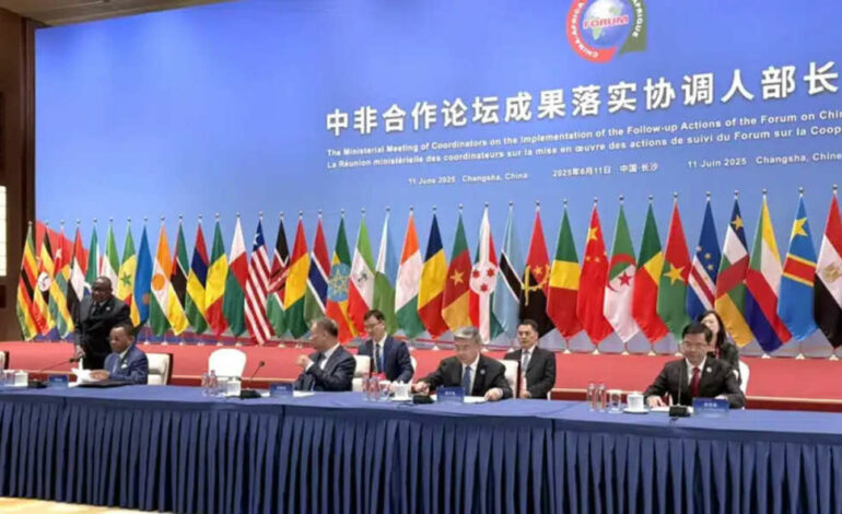 Déclaration sino-africaine de Changsha sur la préservation de la solidarité et de la coopération du Sud global