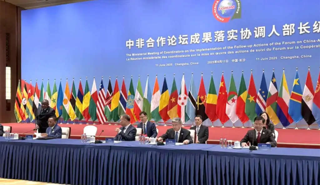 Déclaration sino-africaine de Changsha sur la préservation de la solidarité et de la coopération du Sud global