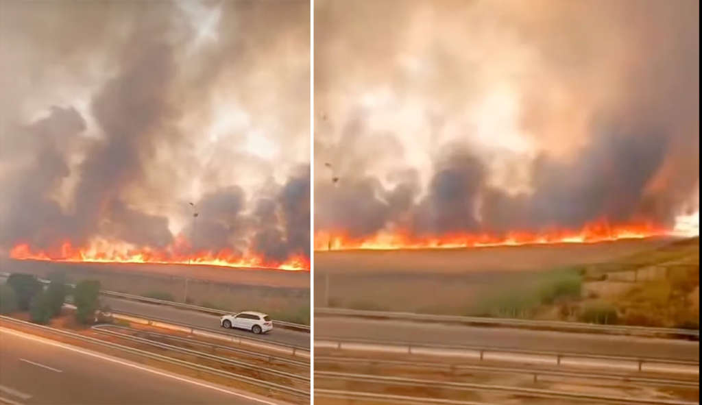 Incendie : Des hectares de blé ravagés près de l’autoroute Béja-Tunis