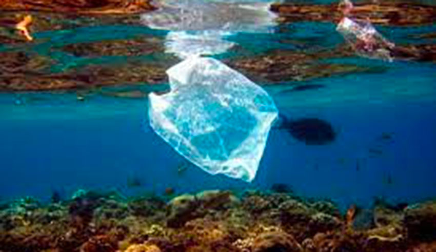 La municipalité de Djerba-Midoun interdit les sacs plastiques à usage unique