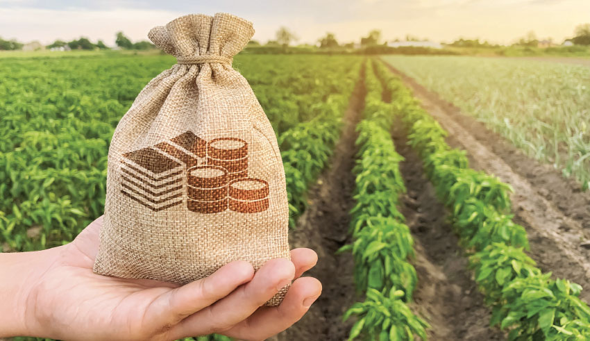 Proposition de loi sur le règlement des dettes agricoles – Objectif : rééquilibrer les finances des agriculteurs