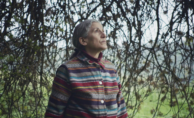 On nous écrit – Les incontournables du documentaire arabe : Lutte fertile