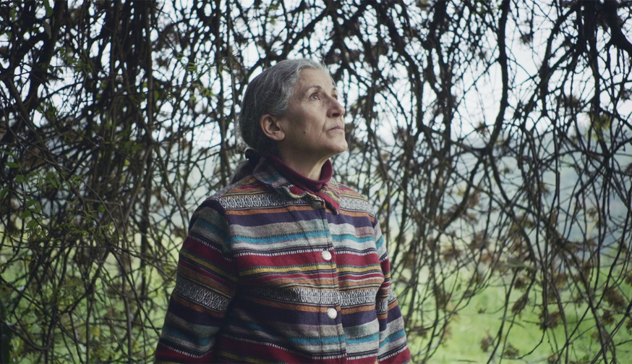 On nous écrit – Les incontournables du documentaire arabe : Lutte fertile