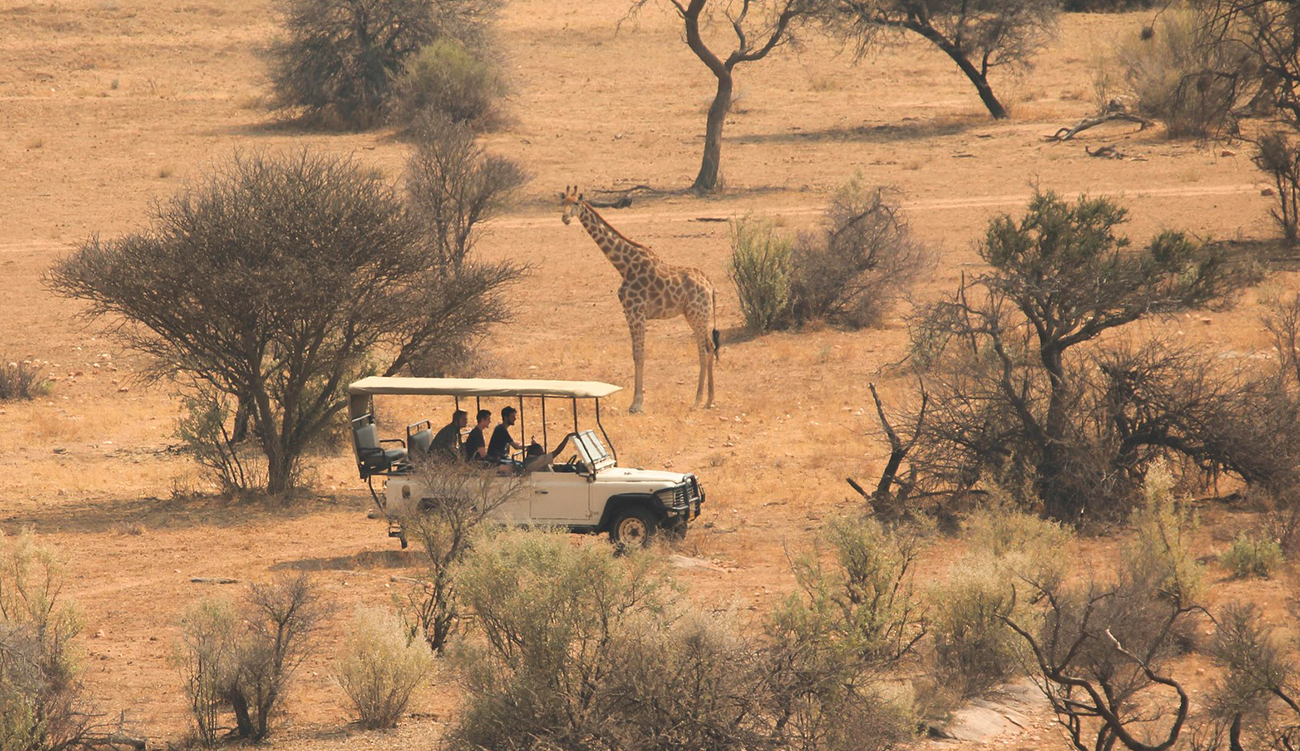 Safaris, plages, culture : l’Afrique, nouvelle destination phare des touristes chinois