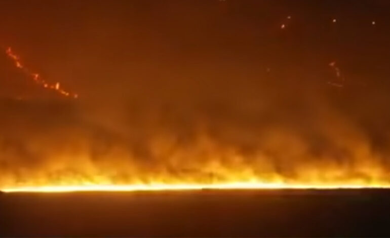 Californie : un incendie de forêt se propage rapidement dans le comté de San Luis Obispo