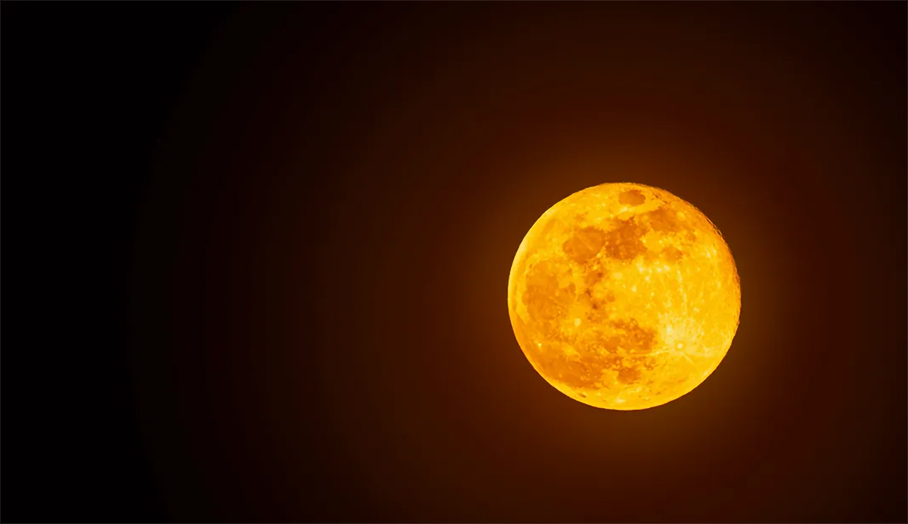 À ne pas manquer : La « super Lune du cerf » illuminera le ciel ce soir