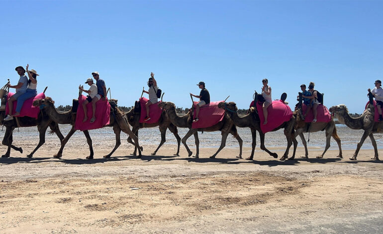 Au cœur de Djerba : un bon plan entre plages, patrimoine et authenticité