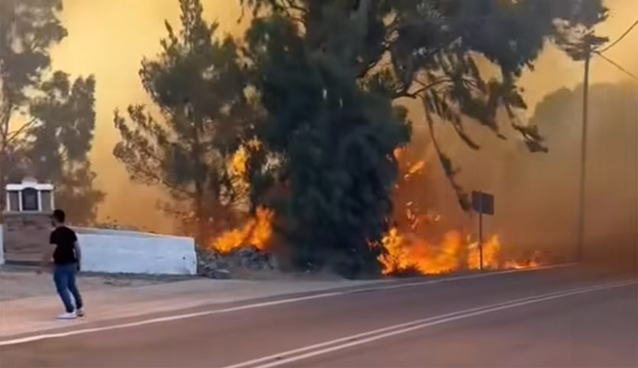 Vague de chaleur en Grèce : fermetures, interdictions et alertes incendie