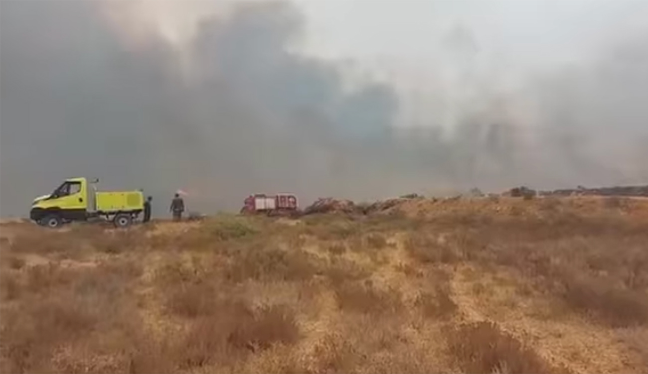 Manouba : Un incendie ravage 7 hectares à Jebel Ammar, huit maisons sauvées